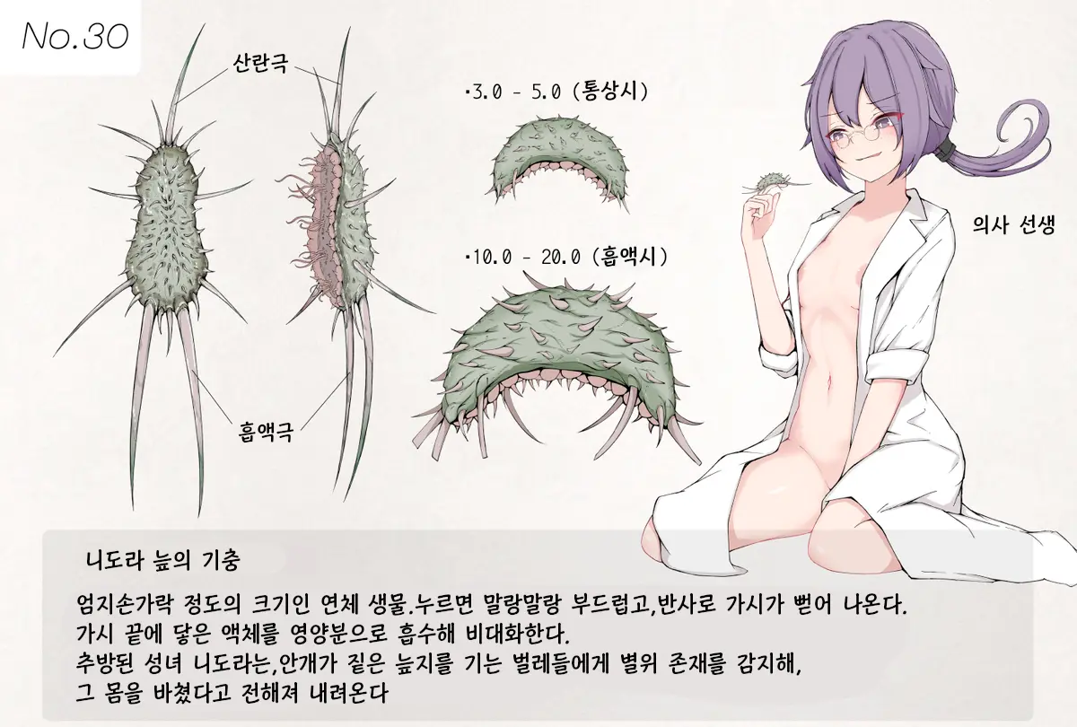 Insect Research Report